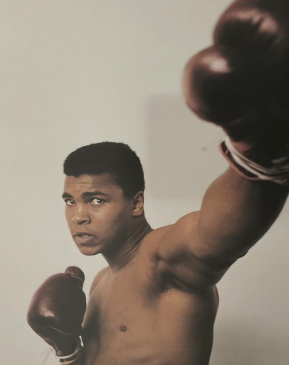 ${auction.title} - ${auction.subtitle}