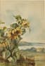 ATTRIBUTED TO ELENA POLENOVA (1850–1898)
Landscape with Sunflowers