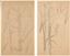LYUBOV POPOVA (1889-1924)
Two Studies of Trees