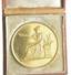 Gold Medal, 1852, « Comice Agricole, 1st prize to M. Du Mesnil » AU 28,9 g