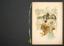 BALLET PROGRAM “LA PERLE” (PEARL), JULY 18, 1898, PETERHOF.