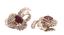 PAIR OF THAI RUBY AND DIAMOND EARRINGS