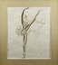 Jean Toth (1899-1972)
Ballet dancers (4 watercolours)