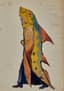 ALEXANDRE BENOIS (1870-1960)
Esquisse de costume des Poissons Monstrueux pour l'opéra Sadko de Nikolaï Rimski-Korsakov