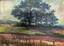 Jean PESKE (1870-1949)
Landscape with a grape vine