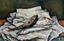 PHILIP REISMAN (1904-1992)
Fish on newspaper