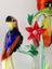 ALESSANDRO BARBARO (XX CENTURY)
Parrots