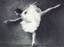 LEVINSON, André. La danse d’aujourd’hui. Etudes - Notes - Portraits. 400 photographies. Paris, Éditions Duchartre et V...