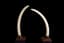 PAIR OF LARGE ELEPHANT TUSKS