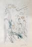 SALVADOR DALI (1904-1989)
The Beloved Feeds Among the Lilies