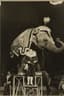 SOVIET CIRCUS, PHOTOGRAPHS FROM THE COLLECTION OF D.V. ROBINSON (1930–1992)
19 black-and-white photographs, 1 full-color printed image (I. Bugrimova. Ogonyok. 1952. No. 11).
1941–1952.