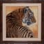 BETTY TRISCORNIA (20TH -21ST CENTURY)
Tiger