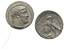 Phoenicia
Half shekel, Year 51 (76/5 BC), AG 6.93 g