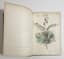 JEAN-JACQUES GRANDVILLE (1803-1847)
TAXILE DELORD (1815-1877)
"The Animated Flowers”
Paris, de Gonet, 1847.
Introduction by Alphonse Karr, Text by Taxile Delord.