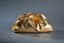 BOTTEGA VENETA
Gold metallic lambskin leather pouch