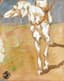 UNKNOWN ARTIST, 20TH CENTURY
Borzoi