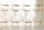 VERSACE
ROSENTHAL
LOT OF 24 MEDUSA GLASSES