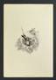 Ballet Program Le Jardin Animé (Corsair) and Le Vaudeville Comedy diplomate (Diplomatist). Theater de l ' Hermitage (Her...