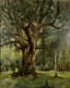 KARLIS ROZENS [KARL ROSEN] (1864 -1934) 
Oak in Latvian forest