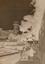 HAMILTON REVELLE (1867-1958)
70 photographs and prints, some signed