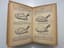LECHEF, M.
La Cuisine de Chez Nous.
Toutes les recettes de cuisine pratique. Plats régionaux et étrangers. Paris: Edition du Librairie Hachette, 1930.