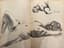 SLOVAK EROTIC PHOTO/DRAWING BOOK. 1968
'AKTY A AKTY'