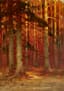 JULIUS KLEVER (1850-1924)
Sunset in the forest