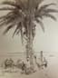 SCENES OF EGYPT : SET OF FIVE 19TH
CENTURY PHOTOGRAPHS