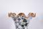 PAIR OF ‘CHINOISERIE’ PORCELAIN BALUSTER VASES, 20TH CENTURY