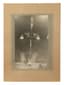 SOVIET CIRCUS, PHOTOGRAPHS FROM THE COLLECTION OF D.V. ROBINSON (1930–1992)
19 black-and-white photographs, 1 full-color printed image (I. Bugrimova. Ogonyok. 1952. No. 11).
1941–1952.