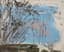 ANATOLY SLEPYSHEV (1932—2016)
A Winter tree