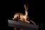 GEORGE LAVROFF (1895 – 1991)
‘Doe’ a bronze with golden patine statue of a lying doe on a Noir Belge limestone