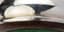 PAIR OF SILVER-PLATED AND WOOD WINE BOTTLE COASTER WITH BAIZE BASE
