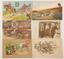ALBUM CONTAINING 72 POSTCARDS WITH EQUESTRIAN THEME
Early XX century 