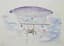 HISTORY OF AERONAUTICS. AIRSHIPS.
7 WATERCOLOURS DEPICTING DIFFERENT TYPES OF AIRSHIPS, FRENCH, GERMAN AND AMERICAN.