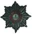 Cloth star of the Russian Imperial Order of St. Alexander Nevsky