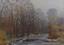 Vasily Petukhov (1914-1980)
Late autumn