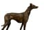EMMANUEL FRÉMIET (1824-1910)
Greyhound