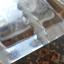 LALIQUE PERLES D’EAU COFFEE TABLE