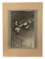 SOVIET CIRCUS, PHOTOGRAPHS FROM THE COLLECTION OF D.V. ROBINSON (1930–1992)
19 black-and-white photographs, 1 full-color printed image (I. Bugrimova. Ogonyok. 1952. No. 11).
1941–1952.