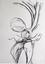 ALIK CAVALIERE (1926-1998)
signed and dated in pencil (lower right)