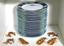 LEONARD PARIS ‘BORA BORA’ LIMOGES PORCELAIN TABLE SERVICE, 125 pieces