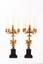 A PAIR OF GILT-BRONZE PUTTI CANDLE HOLDERS, 19th century