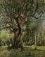 KARLIS ROZENS [KARL ROSEN] (1864 -1934)
Oak in Latvian forest