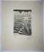 [ANDRÉ DUNOYER DE SEGONZAC (1884-1974)]
[ANDRÉ PLANSON (1898-1981)]
GUY LAGORCE, ROBERT PARIENTÉ
Noblesse du Sport