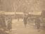 HAMILTON REVELLE (1867-1958)
70 photographs and prints, some signed