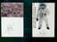 NEIL ALDEN ARMSTRONG (1930-2012)
Two autographed photographs signed ‘Neil Armstrong’