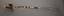 French Sabre of senior national guard of cers or volunteers, without a scabbard.