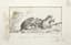 ILYA KABAKOV (1933-2023)
LOT OF NINE ORIGINAL DRAWINGS
FAIRY-TALE ILLUSTRATIONS FOR 'THE WONDER TREE AND OTHER FAIRY TALES' , 1980