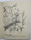 LARIONOV MIKHAIL (1881-1964)
Lucihsm: [Ocherk]. Rayonism: [Essay]. Moscow: [Publ. K. and K.], 1913